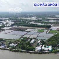 "Độc Quyền: Bán 35Ha Đất Ven Sông Cần Giờ Giấy Phép Marina Dự Án Nghỉ Dưỡng Đẳng Cấp!"