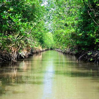 "Độc Quyền: Bán 35Ha Đất Ven Sông Cần Giờ Giấy Phép Marina Dự Án Nghỉ Dưỡng Đẳng Cấp!"