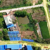 Bán 3 Lồ F0 60M2 Ngay Cạnh Tđc Hoa Động , Tp Thủy Nguyên Giá Đầu Tư Chỉ 1,5Xx.