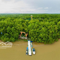"Đầu Tư Đảo Riêng 67Ha - Tập Đoàn Lớn Phát Triển Khu Nghỉ Dưỡng Bluezone Resort Sinh Thái Đẳng Cấp"