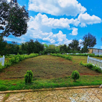 Đất Nền Di Linh Sổ Riêng View Đồi Cực Đẹp Giá Chỉ Từ 286 Triệu/Nền
