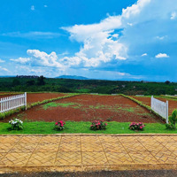 Đất Nền Di Linh Sổ Riêng View Đồi Cực Đẹp Giá Chỉ Từ 286 Triệu/Nền