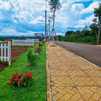 Đất Nền Di Linh Sổ Riêng View Đồi Cực Đẹp Giá Chỉ Từ 286 Triệu/Nền
