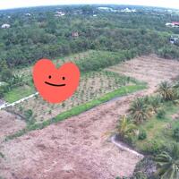 Bán đất mặt tiền đường nhựa, Phường Tân Hội, Vĩnh Long
