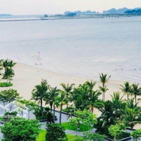 Chính Chủ Bán Căn Liền Kề 3,5 Tầng Lotus Resident Ven Biển Trung Tâm Hùng Thắng, Bãi Cháy, Hạ Long.
