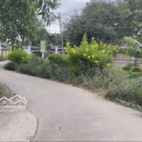 Lô Đất Mặt Tiền Quốc Lộ 51 Giá Tốt Trên Thị Trường