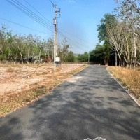 Chủ Cần Bán Gấp Đất Định Thành Mặt Tiền 10M Dân Đông Sổ Riêng, Giá 910 Triệu