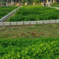 Bán Đất Lô Góc Đường Nguyễn Thị Rành Và Đường 521