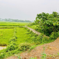 Bán Đất 100M Mặt Đường Đê La Thành, Hoàng Văn Thụ Giá Nhỉnh 2 Tỷ