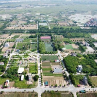 Mở Bán 100M Sổ Đỏ Đất Nền Khu Đô Thị Cienco 5, Tiền Phong, Mê Linh, Hà Nội