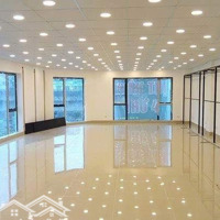 Cho Thuê Vp Tại Tòa Nhà Mipec Tây Sơn,Đống Đa,Hn, Diện Tích: 50M2-1000M2,Giá 245K/M2