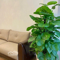 Cho Thuê Sky Garden, Pmh, Q7, 3 Phòng Ngủfull Nội Thất Cao Cấp,Nhà Mới 100%,Giá 15 Triệu/Th Mr.đức Huy
