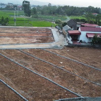 Siêu Phẩm Đất Trại Đáng ,Tam Dị , Lục Nam, Bắc Giang! Giá Chỉ Từ 5Xx Đến 6Xx Triệu/Lô