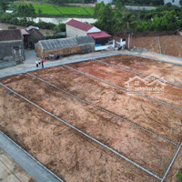 Siêu Phẩm Đất Trại Đáng ,Tam Dị , Lục Nam, Bắc Giang! Giá Chỉ Từ 5Xx Đến 6Xx Triệu/Lô