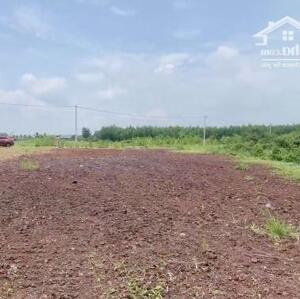 Sót lô đất gần 250m2 giá rẻ xã Phước Long Thọ