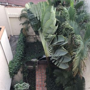căn biệt thự số mặt tiền p. bến thành có sân vườn, hồ bơi ngay trung tâm quận 1 khan hiếm 81 tỷ tl