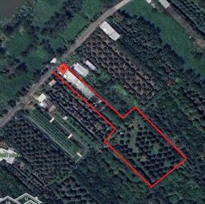 cần cho ra gấp trước tết khu nghỉ dưỡng