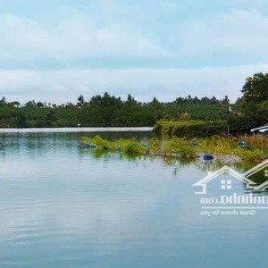 Cơ Hội đầu Tư Vàng - Biệt Thự Sang Trọng Gần 500m2 Tại Bùi Thị Xuân, P1, Bảo Lộc, Lđ, 21 Tỷ Vnd