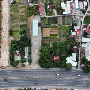Quốc Lộ 51, Tp Bà Rịa, Tổng 1.687m2 Có 16,7m Mặt Tiền, Phù Hợp Nhiều Công Năng Sử Dụng