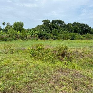 đất trồng cây, đất view hồ đất tóc tiên
