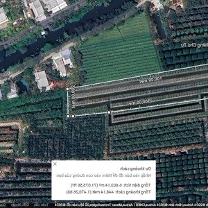 bán 6,5 công mít trồng hơn 500 cây mít đường ô tô thu nhập cao