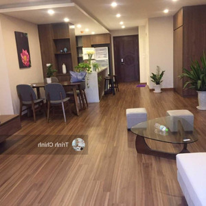 cho thuê căn hộ chung cư 57 láng hạ, thành công tower, 198m2, 4pn, đủ đồ, 20 triệu/tháng
