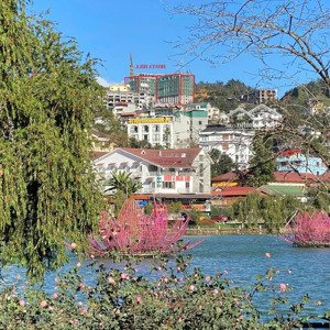 Bán Căn Hộ 3pn + 2vs Tại Irista Hill Sapa, 2,717 Tỷ, 73,3 M2, View đẹp