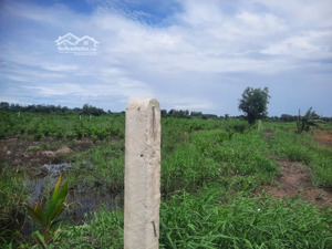 bán đất vườn đẹp tại đường 1, bình lợi, bình chánh, 2,9 tỷ, 1200m2 - gọi cho em xem đất