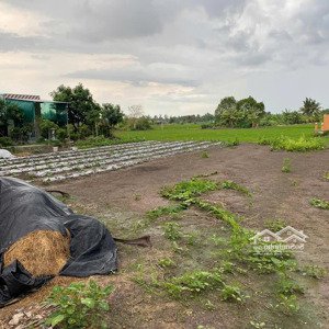Cho Thuê đất Khai Thác Trồng Cây, Nuôi Trồng Mt Tam Thôn Hiệp Cần Giờ