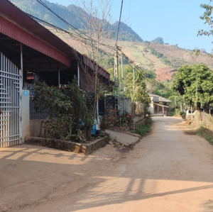 Bán Căn Hộ Gia đình Sẵn ở đón Tết