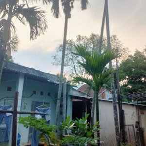 cho thuê nhà nguyên căn, có gác, có sân để ô tô, gần chợ long toàn, tp bà rịa