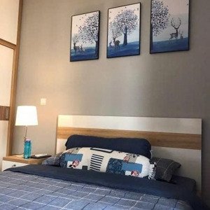 cần bán gấp ch lakai q5 shr bao phí sang tên