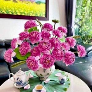 Lhe : 0936298578 : Hải Phòng kho xưởng 2000..3000..5000..1ha