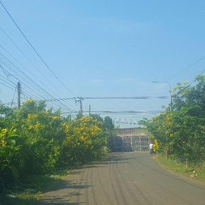 bán 1000m2 có 100m2 thổ cư mặt tiền đường nhựa bầu trâm long khánh đồng nai