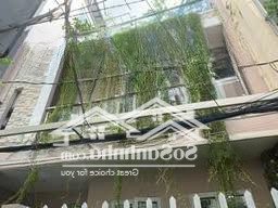 cho thuê biệt thự mini sân vườn, q7