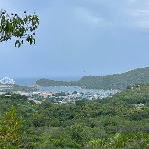 bán đất view biển vịnh vĩnh hy