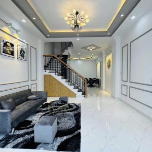 deal hời giá sốc cuối năm bán gấp nhà đ. minh phụng, q.11 với giá 3.690ty/56m2, shr alo ngay