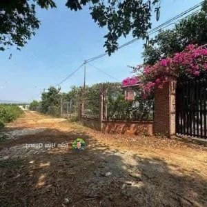 Bán Nhà Vườn Long Phước, đường 89 Diện Tích 1.600m