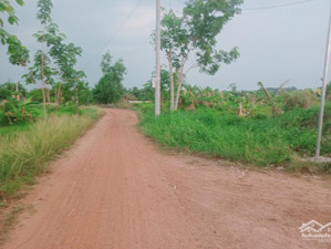bán đất 1.45 tỷ, hơn 1000m2 đất vườn nghỉ dưỡng tại thanh tuyền, dầu tiếng, bình dương
