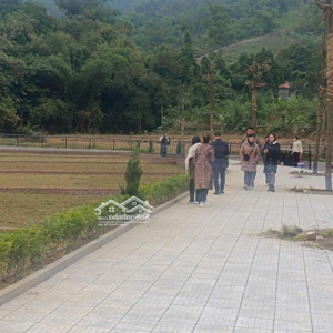 bán đất tại đường hồ chí minh, quốc oai, hà nội, giá cực chất 4,686 tỷ, 349m2 sổ đỏ cầm tay.