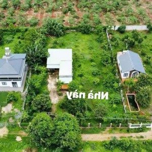 Bán Gấp Nhà Vườn 1.6 Sào Long Phước Ngang 30m Vuông Vức Có Sẵn Cây ăn Trái, Ao Cá Giá 2.6xx Tỷ