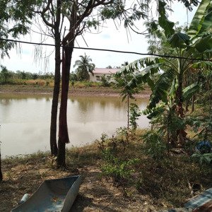 Bán 50000m Vuông Giá Rẻ Chính Chủ, 0345249218
