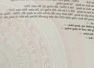 Bán đất chính chủ Tân Hòa - Phú Mỹ giá bao thị trường