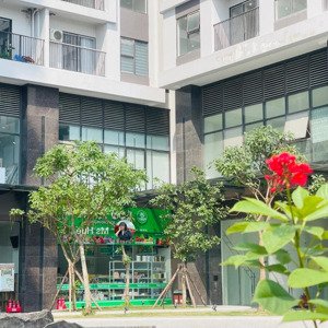 bán shophouse khối đế chung cư kinh doanh luôn, sở hữu lâu dài, gần vinhome cổ loa