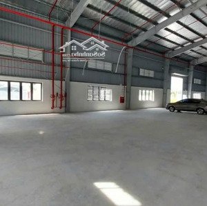 khai xuân cho thuê xưởng đẹp giá rẻ. khu vực quận an dương. vị trí ngay cầu vượt lương quán