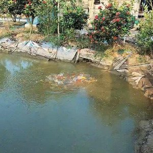 Bán Căn Nhà Vườn đầy đủ Ao Vườn Như 1 Trang Trại Nghỉ Dưỡng Mua Hưởng Thụ Ngay