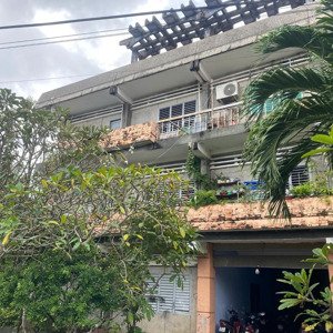 Cho Thuê Phòng Làm Việc, Phòng Giảng Dạy Phường 7, Tp Bến Tre