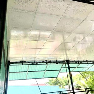 Cho Thuê Nhà 2hẻm 2m Ninh Tốn Thị Trấn Củ Chi Giá 3,5 Triệu, 353,5m2