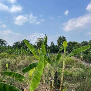 bán đất nguyễn hoàng, sông trầu, trảng bom, đồng nai, giá 2,1 tỷ, 4000m2