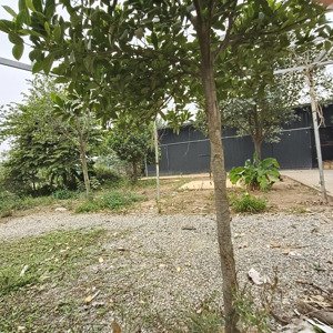 cho thuê kho, nhà xưởng 700m2 tại tứ liên, 15 triệu vnd, mặt tiền 20m